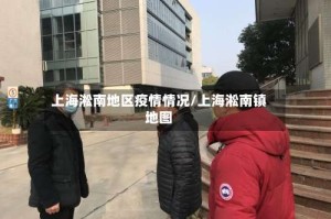 上海淞南地区疫情情况/上海淞南镇地图