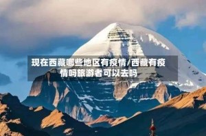 现在西藏哪些地区有疫情/西藏有疫情吗旅游者可以去吗