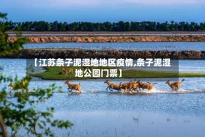 【江苏条子泥湿地地区疫情,条子泥湿地公园门票】