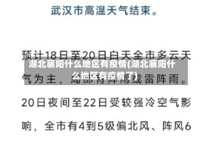 湖北襄阳什么地区有疫情(湖北襄阳什么地区有疫情了)
