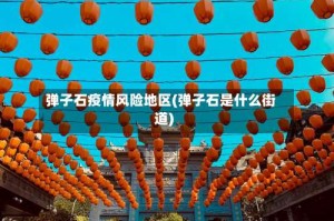 弹子石疫情风险地区(弹子石是什么街道)