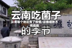 云南哪个地区有了疫情/云南啥地方有疫情