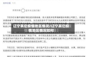辽宁其它疫情地区情况/辽宁其它疫情地区情况如何
