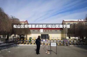 松山区疫情重点地区/松山区属于哪里