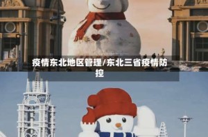 疫情东北地区管理/东北三省疫情防控