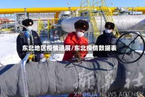 东北地区疫情进展/东北疫情数据表