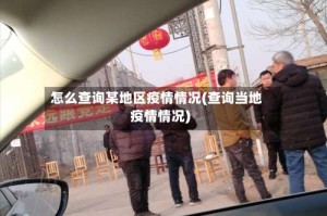 怎么查询某地区疫情情况(查询当地疫情情况)