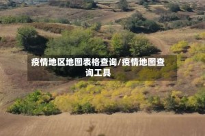 疫情地区地图表格查询/疫情地图查询工具