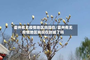 霍州有无疫情地区吗现在/霍州有无疫情地区吗现在封城了吗