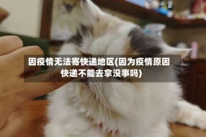 因疫情无法寄快递地区(因为疫情原因快递不能去拿没事吗)