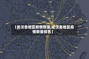 【武汉各地区疫情数量,武汉各地区疫情数量排名】