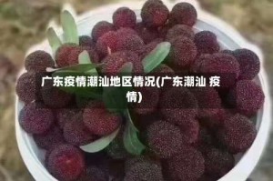广东疫情潮汕地区情况(广东潮汕 疫情)