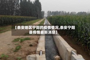 【泰安地区宁阳的疫情情况,泰安宁阳县疫情最新消息】