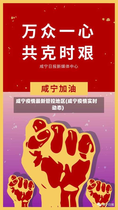 咸宁疫情最新管控地区(咸宁疫情实时动态)-第2张图片