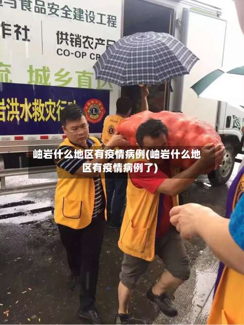 岫岩什么地区有疫情病例(岫岩什么地区有疫情病例了)-第3张图片