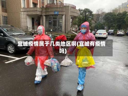 宜城疫情属于几类地区啊(宜城有疫情吗)-第2张图片