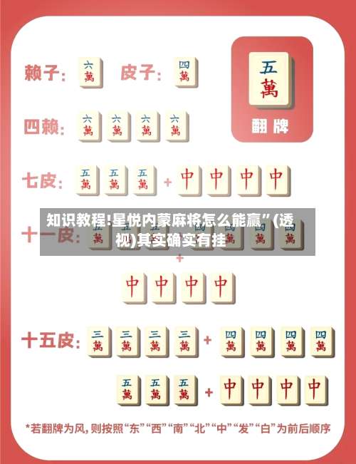 知识教程!星悦内蒙麻将怎么能赢	”(透视)其实确实有挂-第2张图片