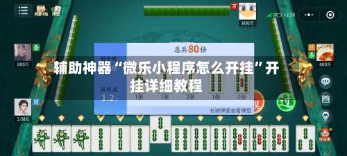 辅助神器“微乐小程序怎么开挂”开挂详细教程-第1张图片