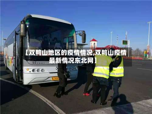 【双鸭山地区的疫情情况,双鸭山疫情最新情况东北网】-第1张图片