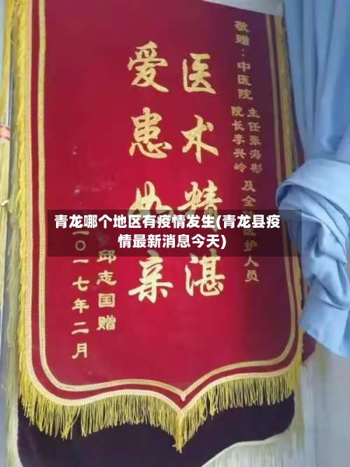 青龙哪个地区有疫情发生(青龙县疫情最新消息今天)-第2张图片