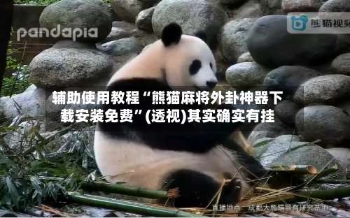 辅助使用教程“熊猫麻将外卦神器下载安装免费”(透视)其实确实有挂-第2张图片