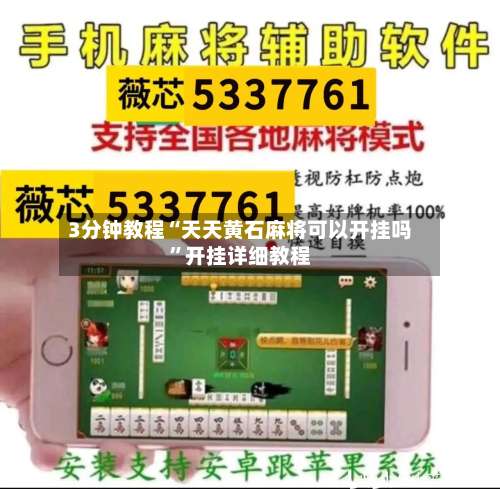 3分钟教程“天天黄石麻将可以开挂吗”开挂详细教程-第2张图片
