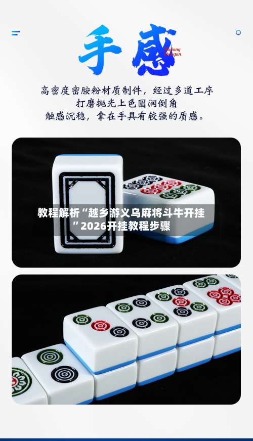 教程解析“越乡游义乌麻将斗牛开挂”2026开挂教程步骤-第2张图片