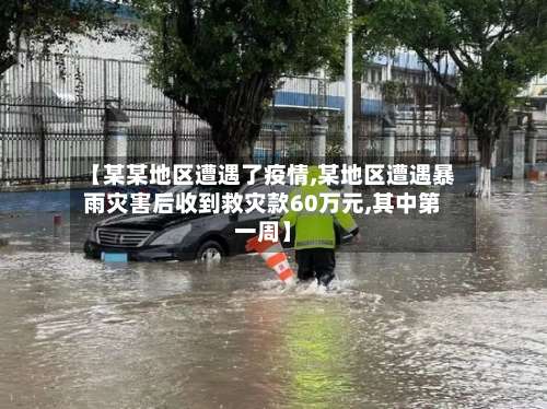 【某某地区遭遇了疫情,某地区遭遇暴雨灾害后收到救灾款60万元,其中第一周】-第1张图片