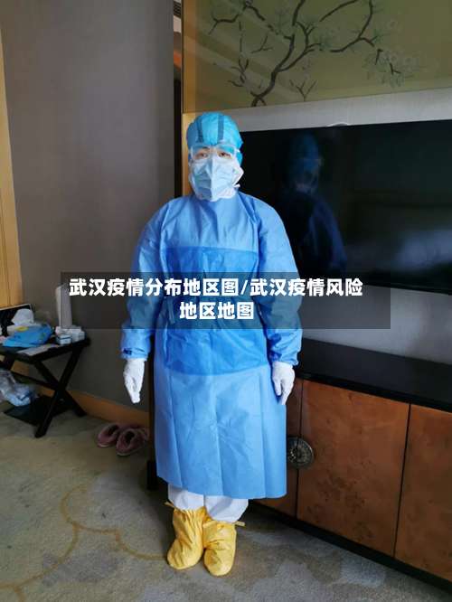 武汉疫情分布地区图/武汉疫情风险地区地图-第1张图片