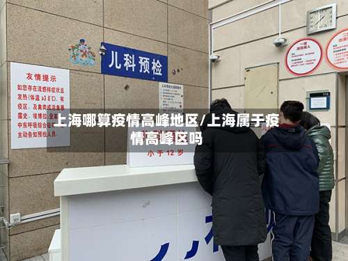 上海哪算疫情高峰地区/上海属于疫情高峰区吗-第2张图片