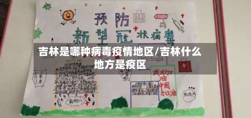 吉林是哪种病毒疫情地区/吉林什么地方是疫区-第2张图片