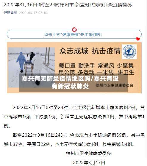 嘉兴有无肺炎疫情地区吗/嘉兴有没有新冠状肺炎-第2张图片