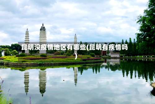 昆明没疫情地区有哪些(昆明有疾情吗)-第2张图片