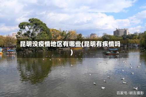 昆明没疫情地区有哪些(昆明有疾情吗)-第3张图片