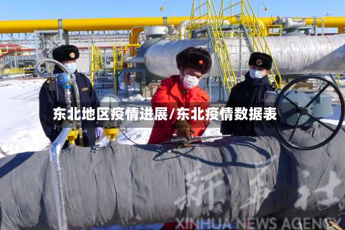 东北地区疫情进展/东北疫情数据表-第1张图片