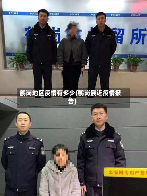鹤岗地区疫情有多少(鹤岗最近疫情报告)-第1张图片