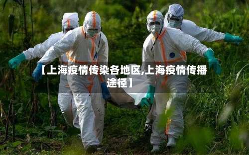 【上海疫情传染各地区,上海疫情传播途径】-第2张图片
