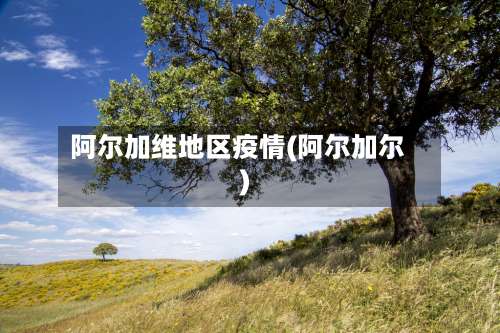 阿尔加维地区疫情(阿尔加尔)-第3张图片