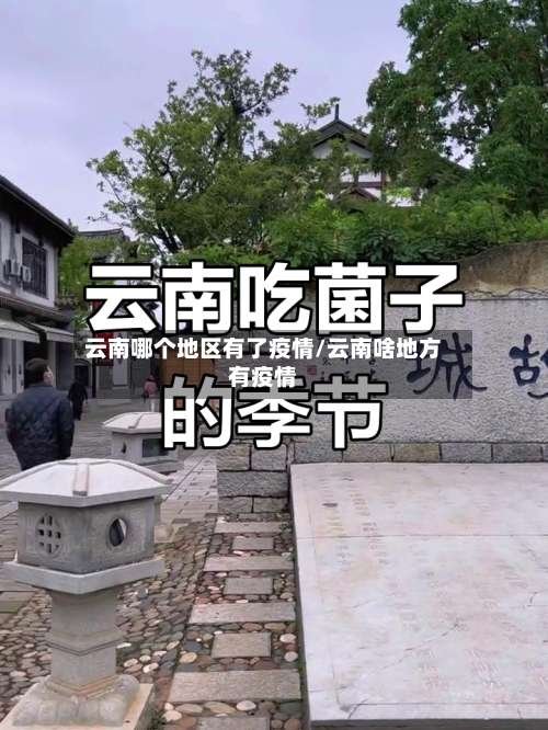云南哪个地区有了疫情/云南啥地方有疫情-第1张图片