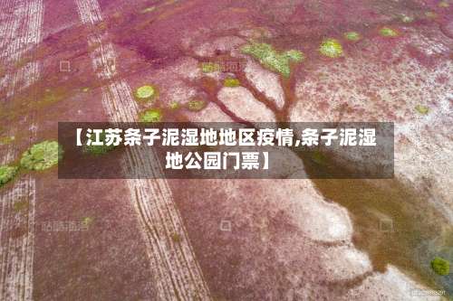 【江苏条子泥湿地地区疫情,条子泥湿地公园门票】-第2张图片