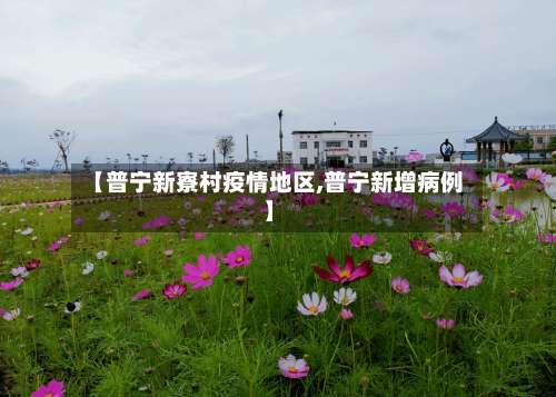 【普宁新寮村疫情地区,普宁新增病例】-第2张图片