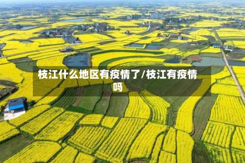 枝江什么地区有疫情了/枝江有疫情吗-第1张图片