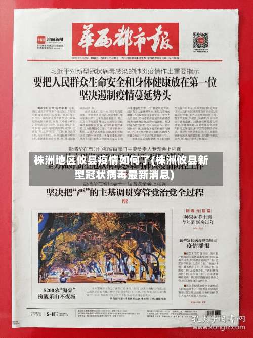 株洲地区攸县疫情如何了(株洲攸县新型冠状病毒最新消息)-第3张图片