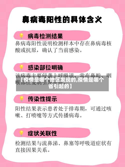 【疫情是哪个地区发现的,疫情是哪个省引起的】-第2张图片