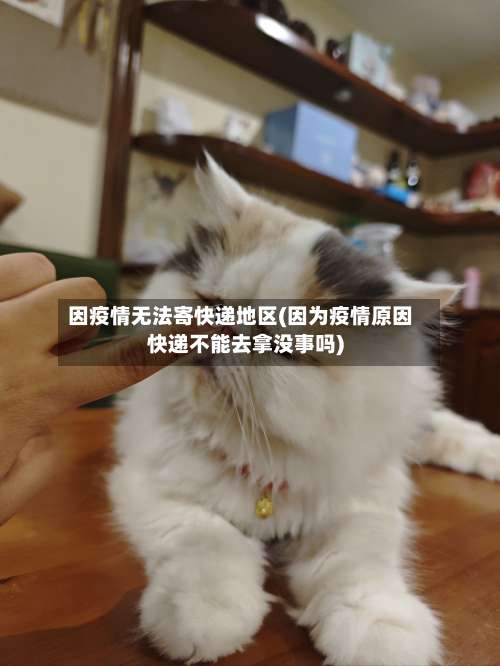 因疫情无法寄快递地区(因为疫情原因快递不能去拿没事吗)-第1张图片