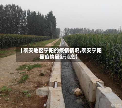 【泰安地区宁阳的疫情情况,泰安宁阳县疫情最新消息】-第1张图片