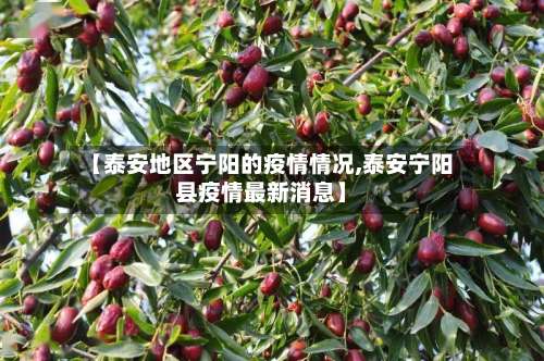 【泰安地区宁阳的疫情情况,泰安宁阳县疫情最新消息】-第2张图片