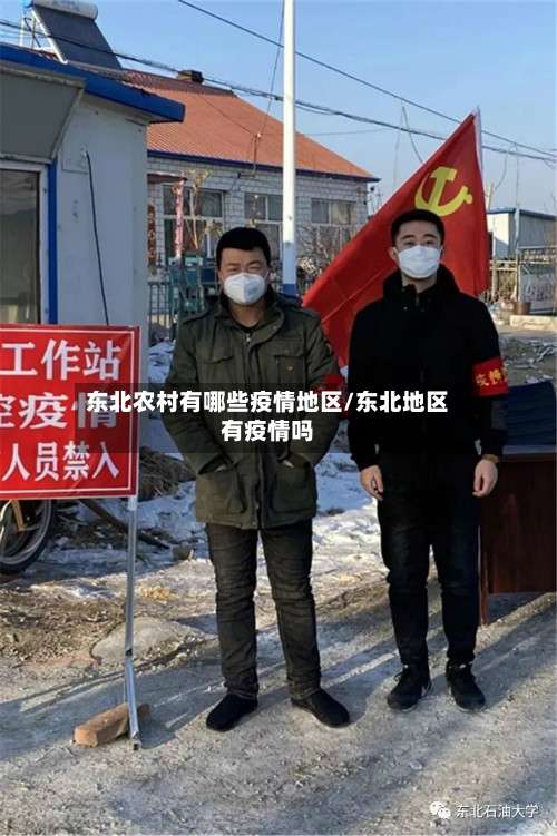 东北农村有哪些疫情地区/东北地区有疫情吗-第2张图片