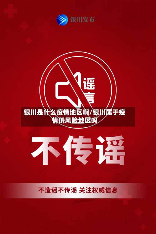 银川是什么疫情地区啊/银川属于疫情低风险地区吗-第2张图片