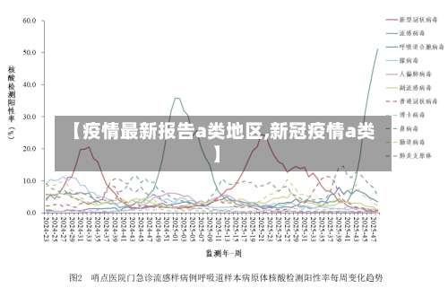 【疫情最新报告a类地区,新冠疫情a类】-第1张图片